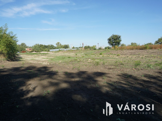 5176 m2 telek több lehetőséggel Gyulán!