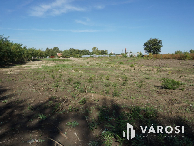 5176 m2 telek több lehetőséggel Gyulán!
