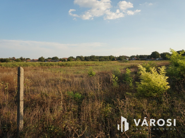 Terjedelmes osztható telek akár befektetésnek!