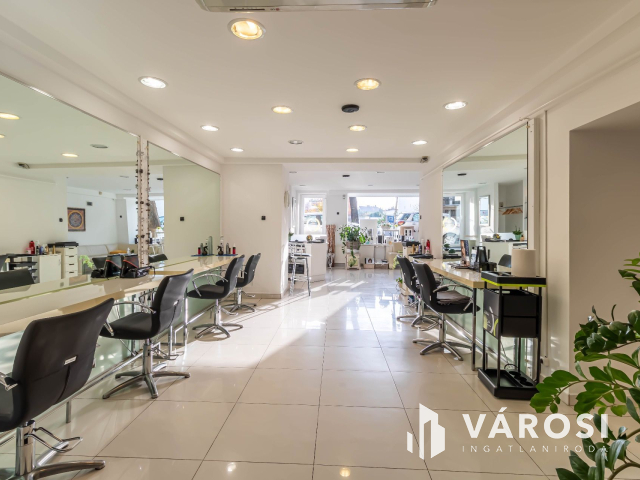 Polgári jellegű magánház Szeged belvárosában