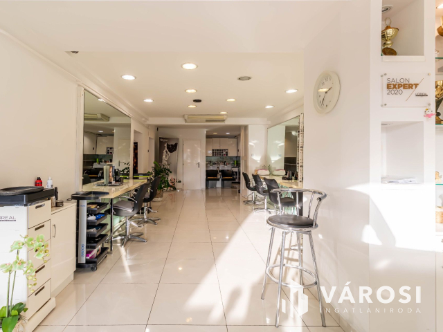 Polgári jellegű magánház Szeged belvárosában