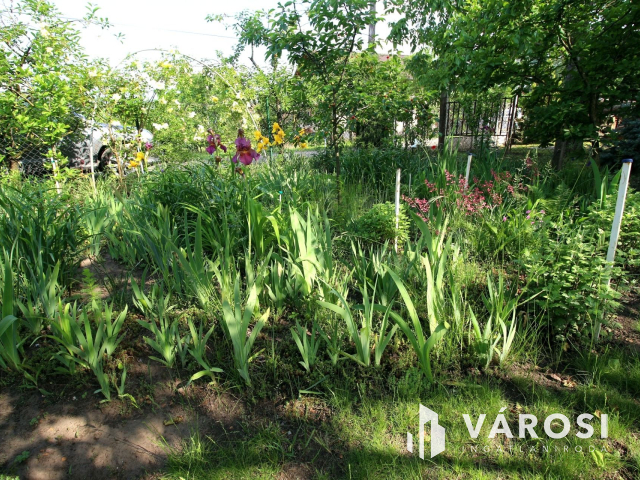 Édenkert Szeged népszerű üdülő övezetében