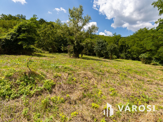 Pilismaróton, belterületi telek, most akciós áron eladó