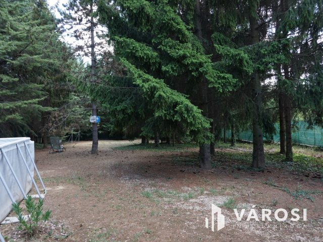 Normafa árnyékában hatalmas telekkel!