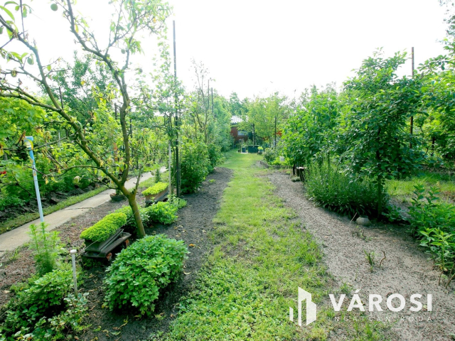 Édenkert Szeged kedvelt üdülő övezetében