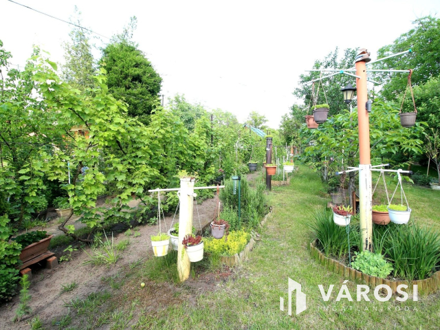 Édenkert Szeged kedvelt üdülő övezetében