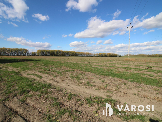 16,5 Ha szántó tanyával együtt eladó!