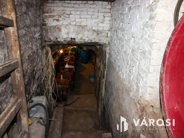 Belterületi nagyméretű telek présházzal és szőlővel Únyon