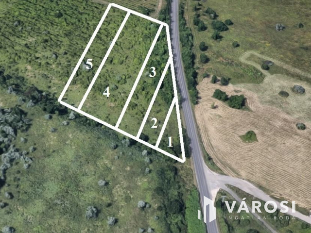 A közeli jövő befektetése Budakeszin?