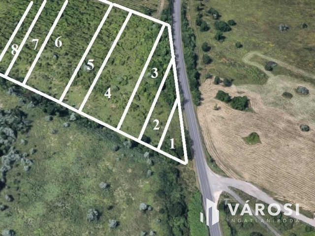 A közeli jövő befektetése Budakeszin?