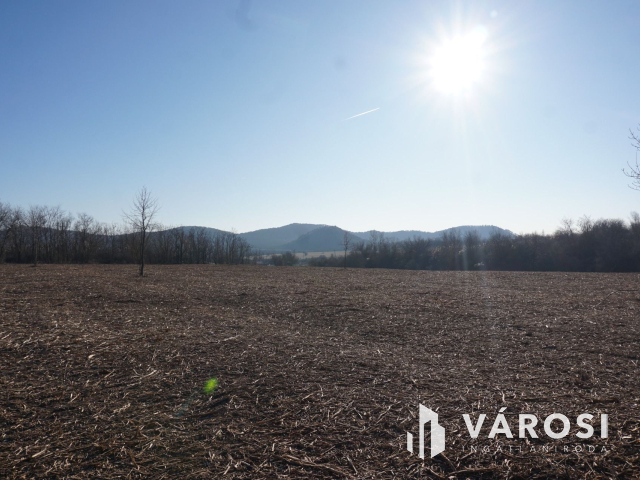 A közeli jövő befektetése Budakeszin?