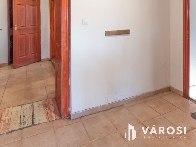 Lovastanya erdővel a szélén