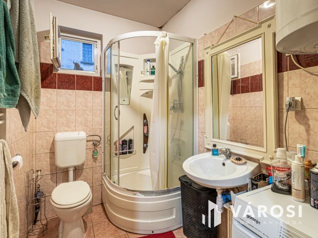 Domaszéki többgenerációs otthon vagy befektetési lehetőség