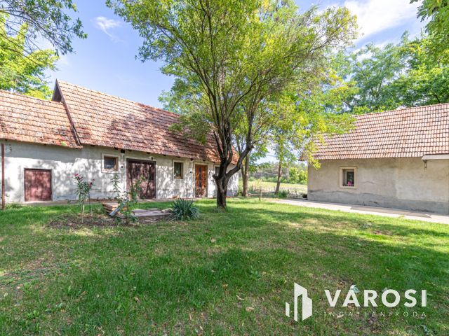 Gazdálkodásra, lovas turizmusra alkalmas Ásotthalmi birtok