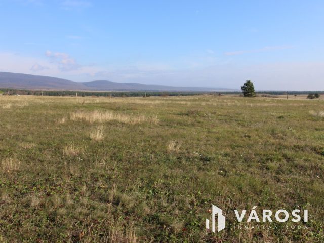 Fejlesztési lehetőség Márkón