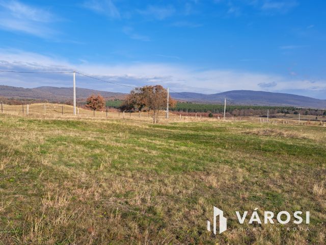 Fejlesztési lehetőség Márkón