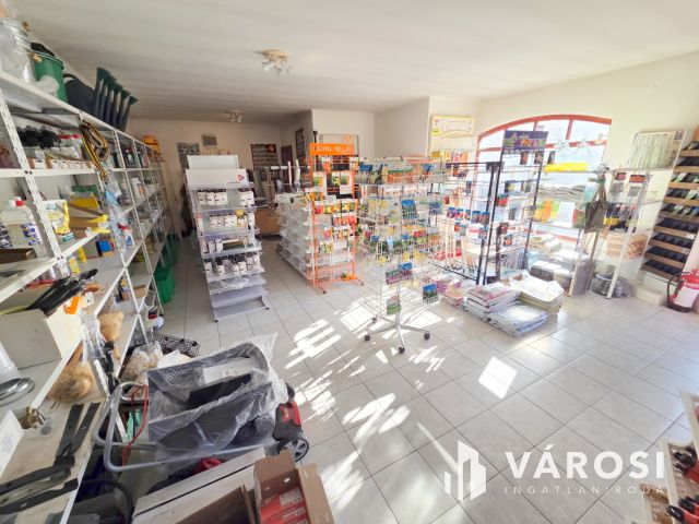 Lehetőségekben gazdag ház Ráckeve központjában