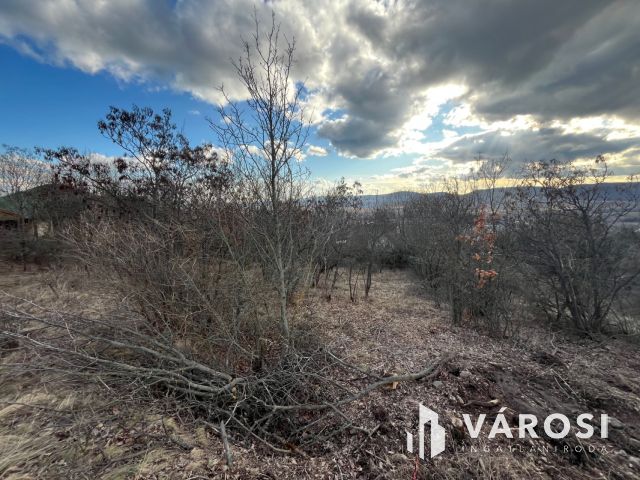 Szentendrei panoráma!