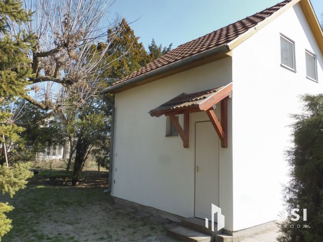 Jó minőségű "Őszibarack" jó áron eladó!