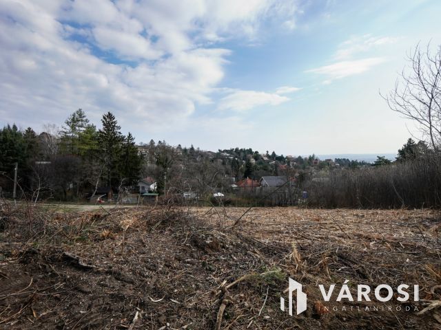 Örökpanorámás telek