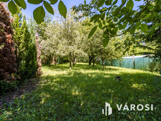 Építési telek Gödöllőn, kis faházzal