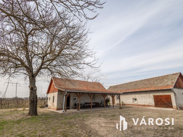 Ahol a munka meghozza gyümölcsét – szó szerint