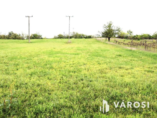 Szántó besorolású külterületi telek Kőröshegyen eladó