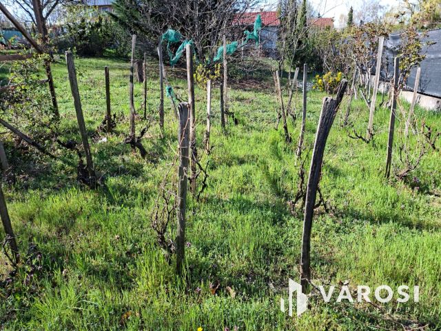 Alsóörsi telek rajta kicsi házzal eladó