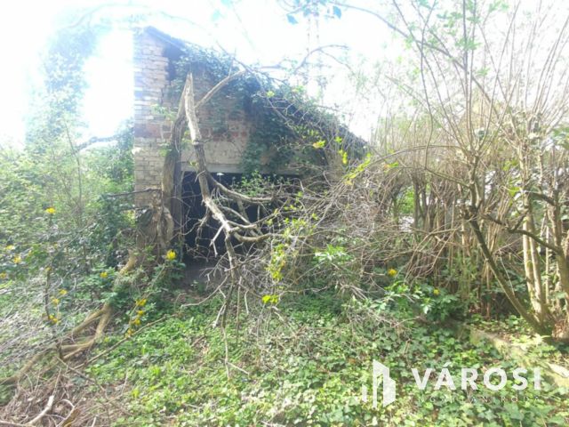 Balatonkenesén jó szerkezetű, felújításra szoruló ház eladó!