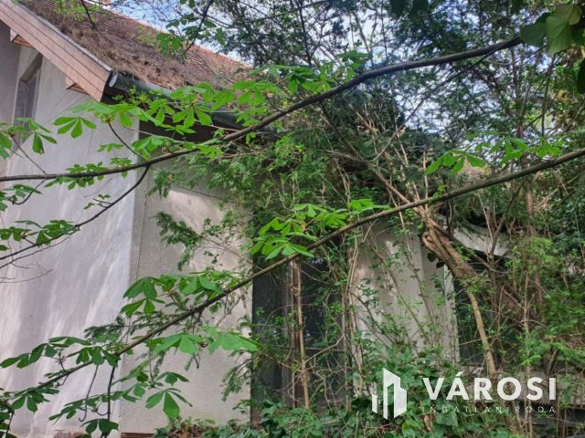 Balatonkenesén jó szerkezetű, felújításra szoruló ház eladó!