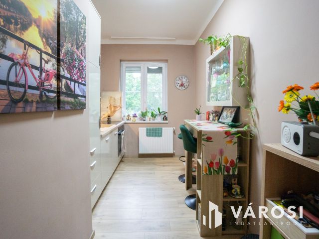Hangulatos, erkélyes lakás a park mellett