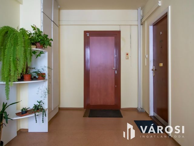 2 szobás csendes panel, pár lépésre a belvárostól