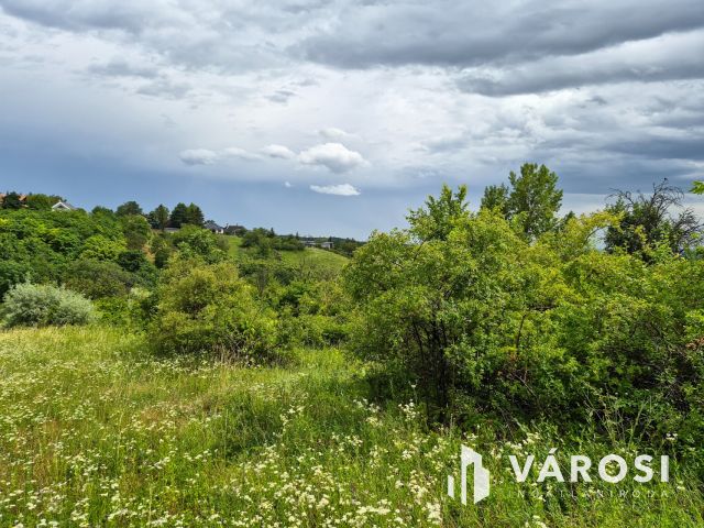 Eladó panorámás zártkerti telek Csókakőn