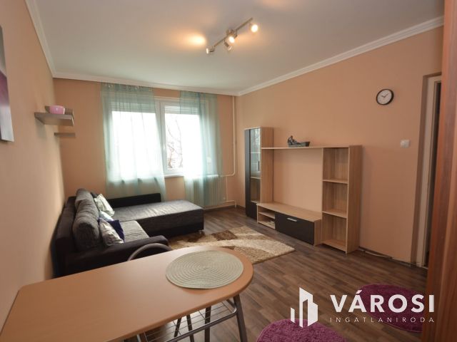 Debrecen Belvárosi Csinos 1+1 Szobás Albérlet