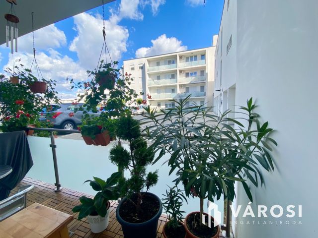 Hangulatos téglalakás Győrben
